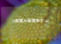 iis配置,IIS配置多个 api