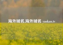 海外域名,海外域名 yaokan.tv