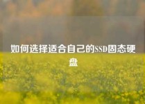 如何选择适合自己的SSD固态硬盘