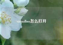 virtualbox怎么打开
