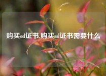 购买ssl证书,购买ssl证书需要什么