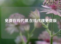 免费在线代理,在线代理免费版