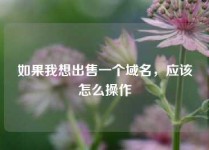如果我想出售一个域名，应该怎么操作