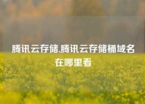 腾讯云存储,腾讯云存储桶域名在哪里看