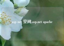 asp net 空间,asp.net apache