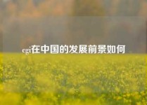 cgi在中国的发展前景如何