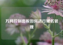 万网控制面板如何进行域名管理
