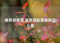 服务器配置,服务器配置参数怎么看