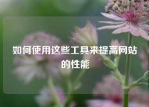 如何使用这些工具来提高网站的性能
