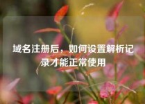 域名注册后，如何设置解析记录才能正常使用