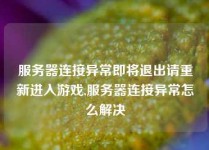 服务器连接异常即将退出请重新进入游戏,服务器连接异常怎么解决