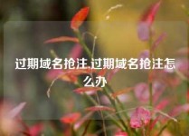 过期域名抢注,过期域名抢注怎么办