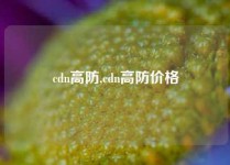 cdn高防,cdn高防价格