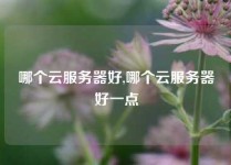 哪个云服务器好,哪个云服务器好一点