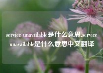 service unavailable是什么意思,serviceunavailable是什么意思中文翻译