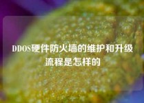 DDOS硬件防火墙的维护和升级流程是怎样的