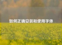 如何正确安装和使用字体