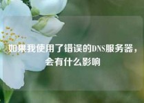 如果我使用了错误的DNS服务器，会有什么影响