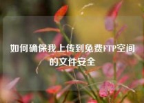 如何确保我上传到免费FTP空间的文件安全