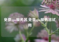 免费gpu服务器,免费gpu服务器试用