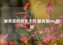 服务器防御多少钱,服务器200g防御