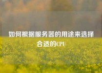 如何根据服务器的用途来选择合适的CPU