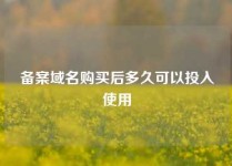 备案域名购买后多久可以投入使用