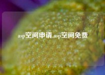 asp空间申请,asp空间免费