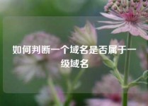 如何判断一个域名是否属于一级域名