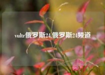 vultr俄罗斯24,俄罗斯24频道