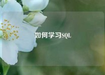 如何学习SQL