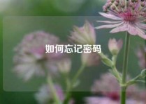 如何忘记密码