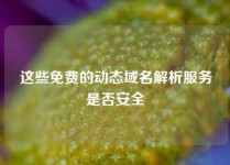 这些免费的动态域名解析服务是否安全