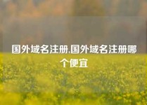 国外域名注册,国外域名注册哪个便宜