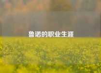 鲁诺的职业生涯