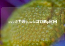 socks5代理ip,socks5代理ip官网