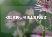 双线主机租用,线上主机租赁