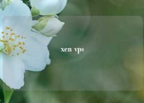 xen vps