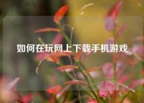 如何在玩网上下载手机游戏