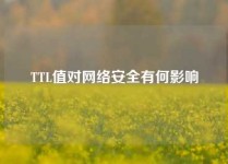 TTL值对网络安全有何影响
