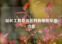 站长工具查询官网有哪些常用功能