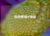 如何更换IP地址