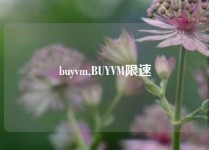 buyvm,BUYVM限速