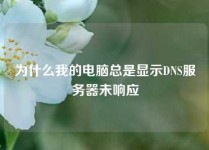 为什么我的电脑总是显示DNS服务器未响应