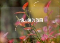 ttl值,ttl值的范围