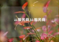 idc服务商,Idc服务商