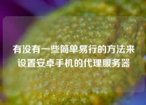 有没有一些简单易行的方法来设置安卓手机的代理服务器