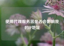 使用代理服务器是否会影响我的IP地址