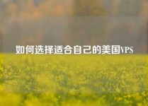 如何选择适合自己的美国VPS