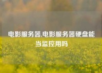 电影服务器,电影服务器硬盘能当监控用吗